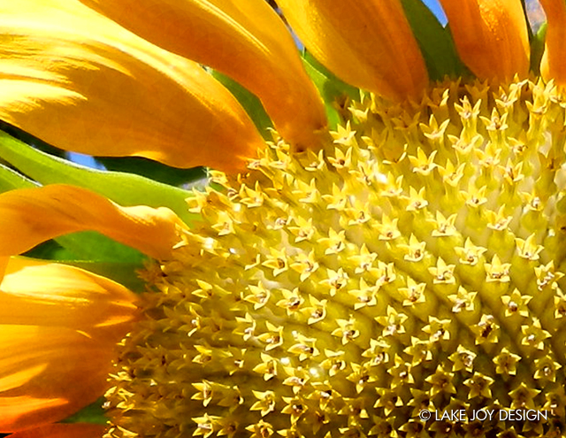 Laura_Henion_Photography_97