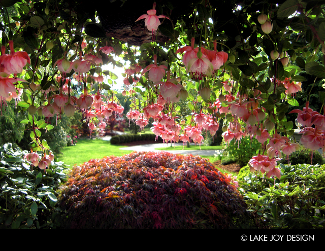 Laura_Henion_Photography_99