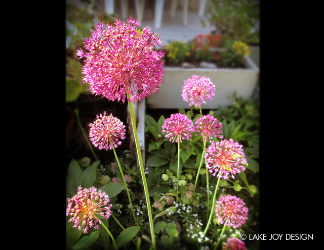 Laura_Henion_Photography_102