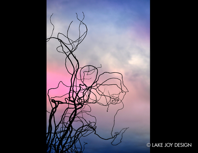 Laura_Henion_Photography_103