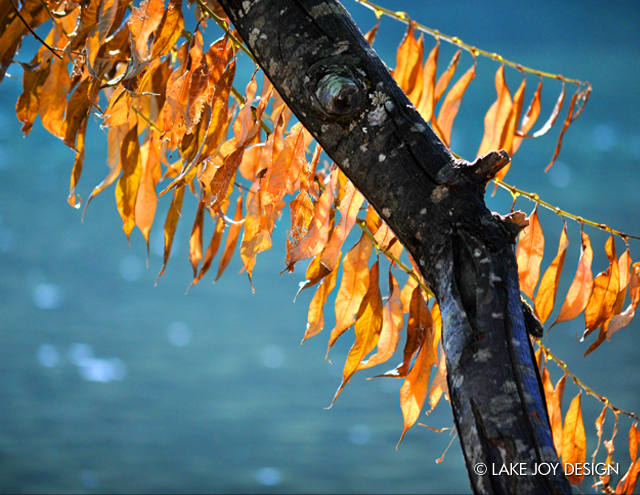 Laura_Henion_Photography_104