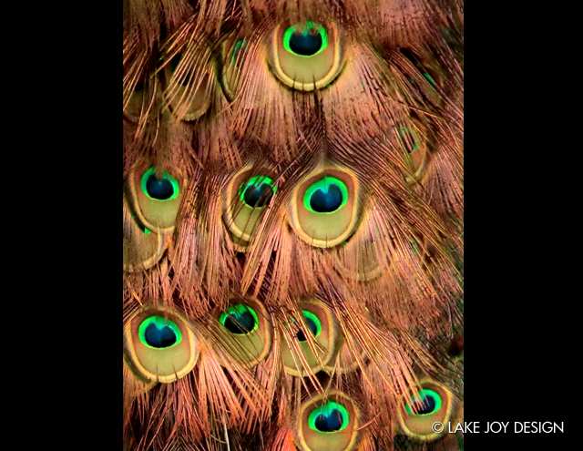 Laura_Henion_Photography_106