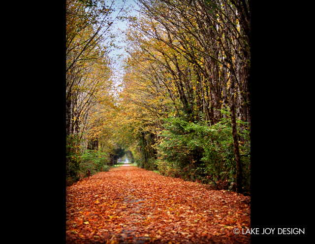 Laura_Henion_Photography_107