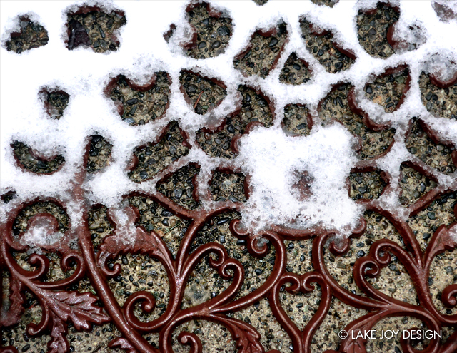 Laura_Henion_Photography_110