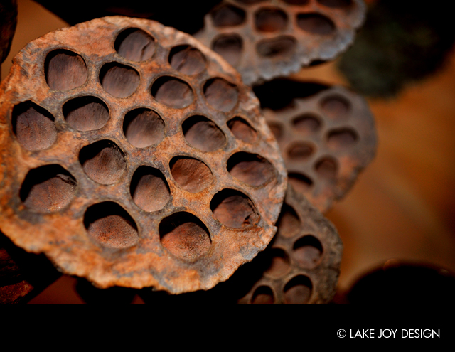 Laura_Henion_Photography_119