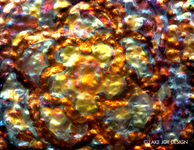 Laura_Henion_Photography_123