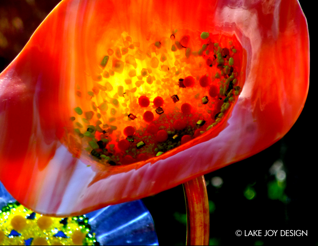 Laura_Henion_Photography_127