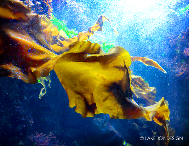 Laura_Henion_Photography_135